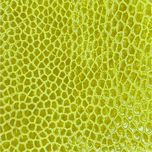 Ostrich Leg Leather Chartreuse