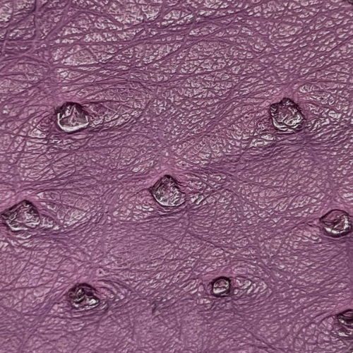 Ostrich Leather African Violet