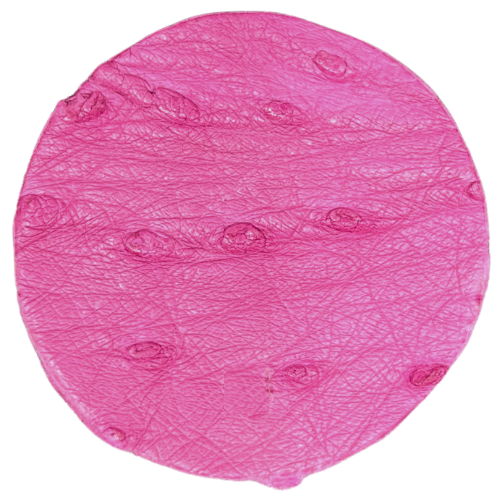 Ostrich Leather Cyclamen