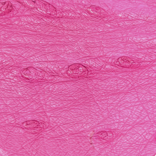 Ostrich Leather Cyclamen