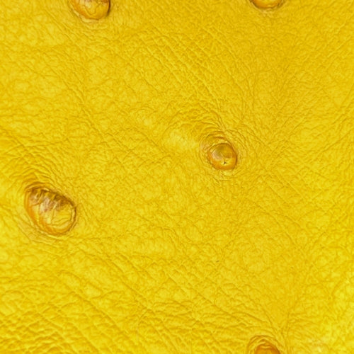 Ostrich Leather Sun