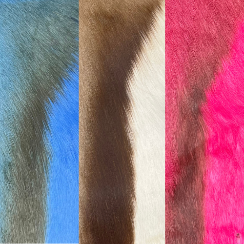 Springbuck Skin Rugs