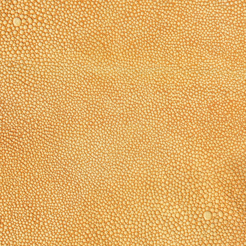 Bovine Leather Embossed Stringray Robrigo