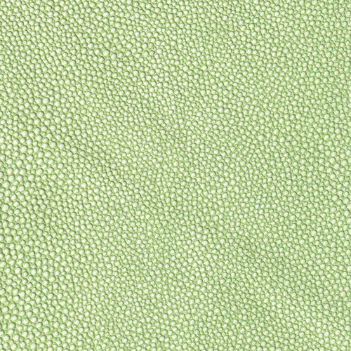 Bovine Leather Embossed Stringray Rovere