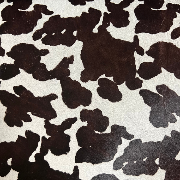 Bovine  Stenciled Hair-On  Ser Continente