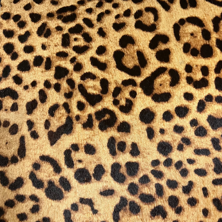 Bovine  Stenciled Hair-On  Ser Leopardo Rajada