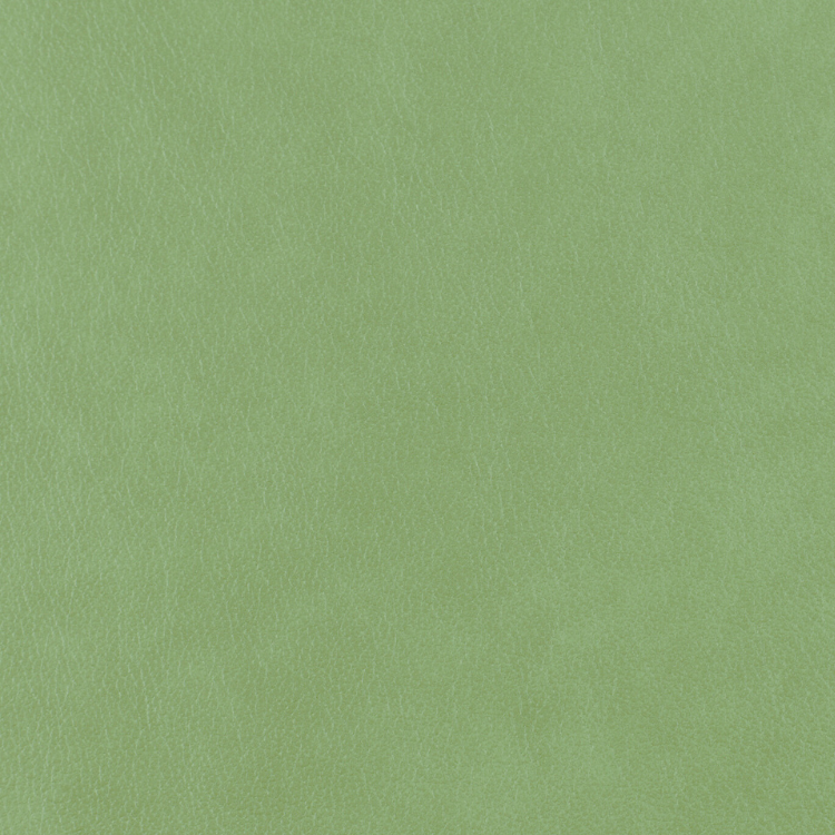 Bovine Leather Austen Aloe