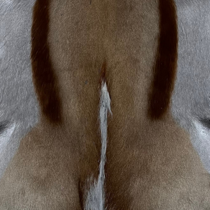 Springbuck Rug  Grey