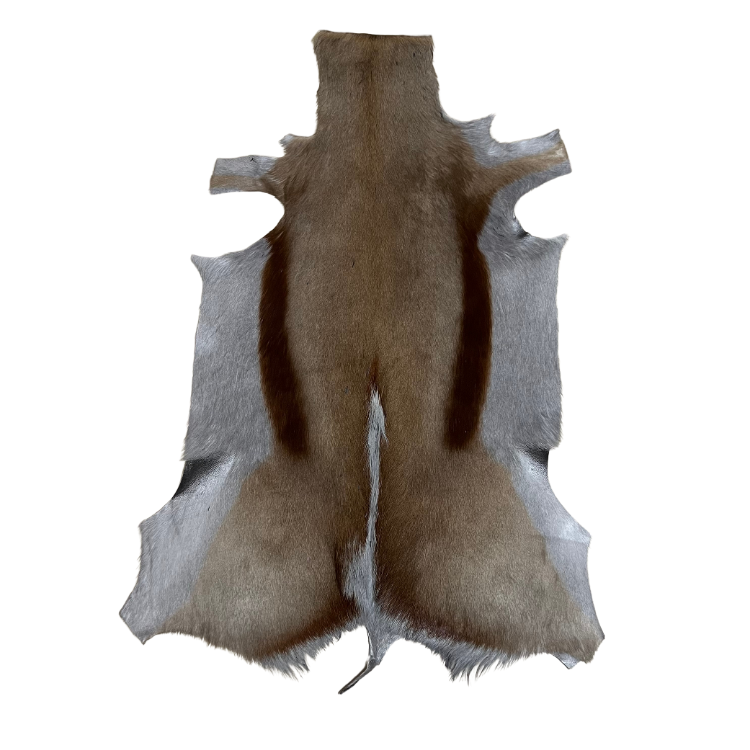 Springbuck Rug  Grey