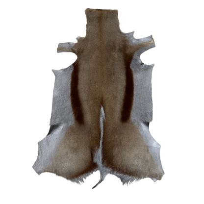 Springbuck Rug  Grey