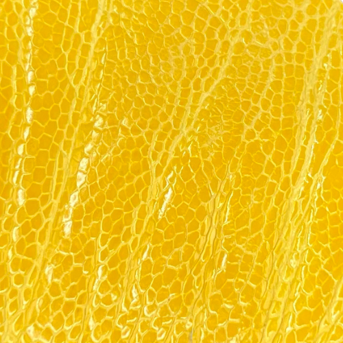 Ostrich Leg Leather Sun